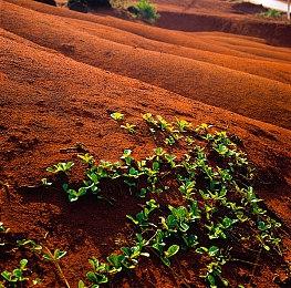 传闻：《银河战士Prime4》开发已基本完成